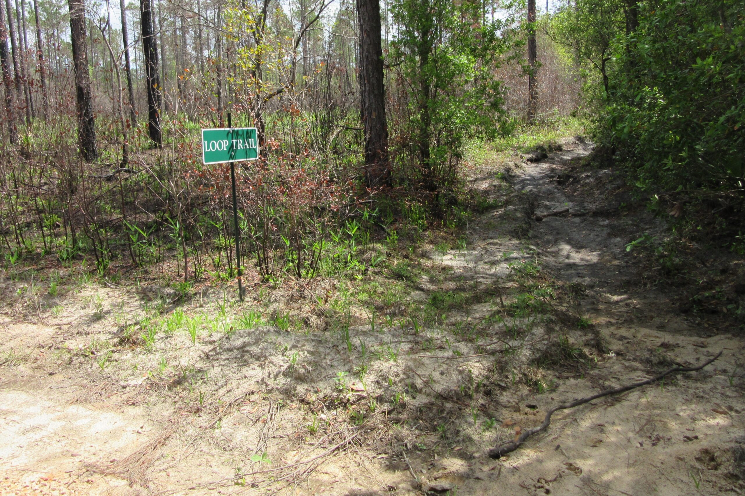 loop trail entrance