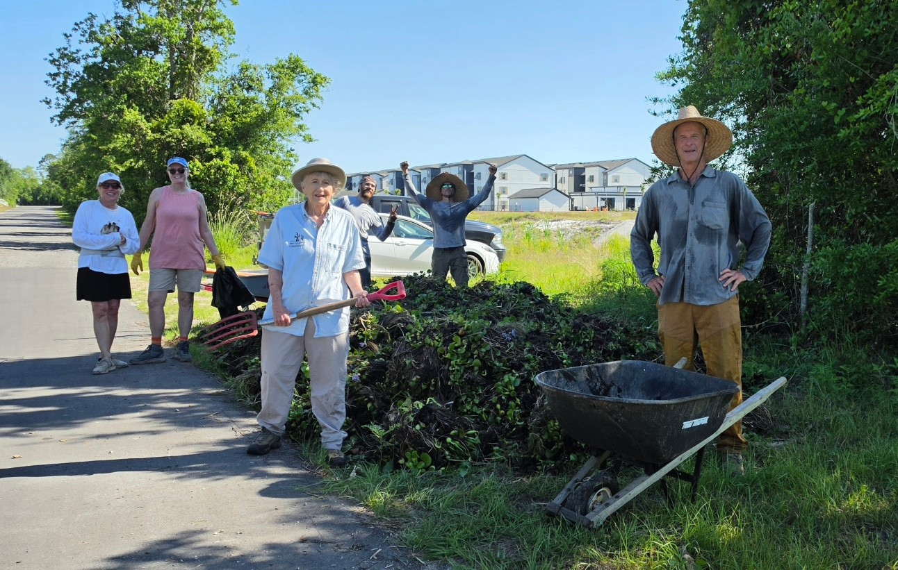 Water hyacinth removal